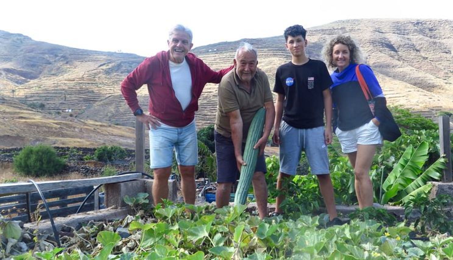 Гигант весом 8 килограммов: в Испании вырастили удивительный огурец Гигант весом 8 килограммов: в Испании вырастили удивительный огурец