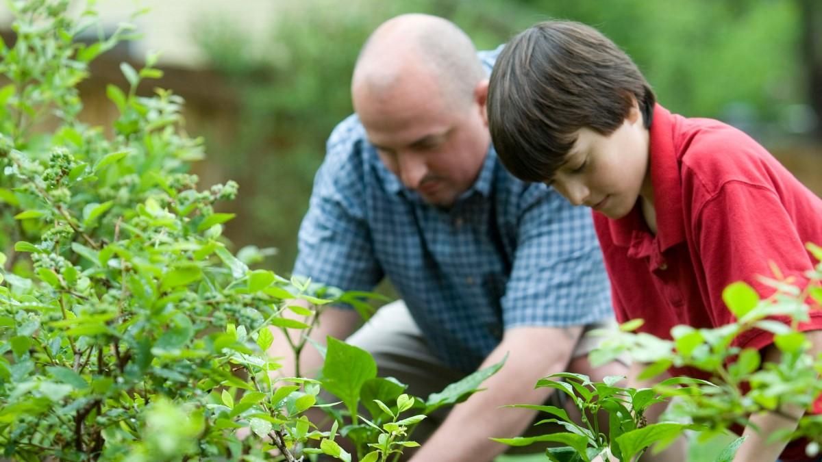 Місячний посівний календар для городника і садівника: липень 2021 року Місячний посівний календар для городника і садівника: липень 2021 року