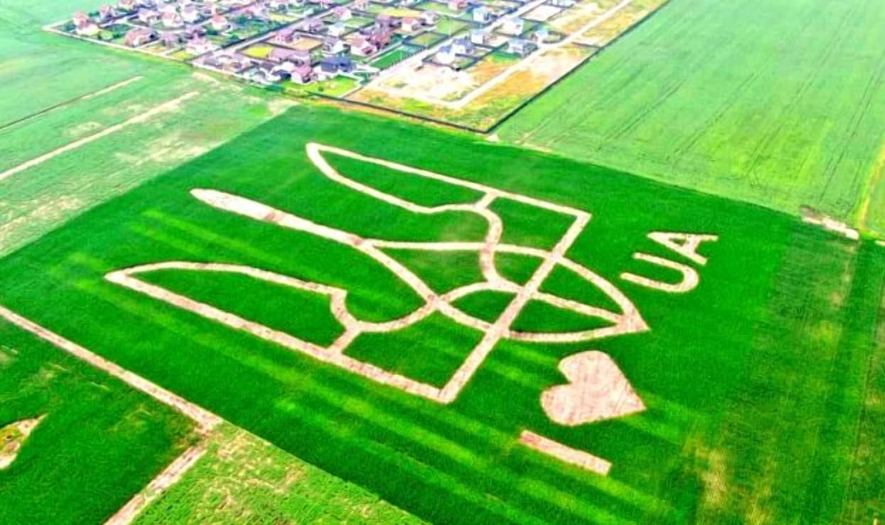 Найбільший польовий герб та інноваційні технології: в Україні зареєстрували унікальний рекорд Найбільший польовий герб та інноваційні технології: в Україні зареєстрували унікальний рекорд