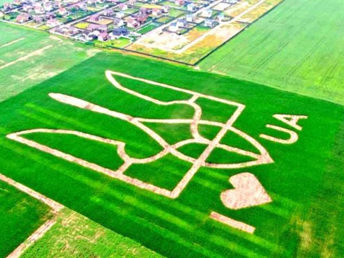 Найбільший герб України на полі Найбільший герб України на полі