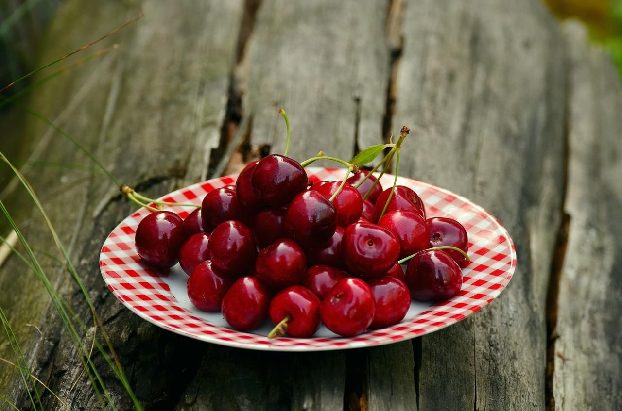 Гигантская ягода: в Италии вырастили самую большую черешню в мире
