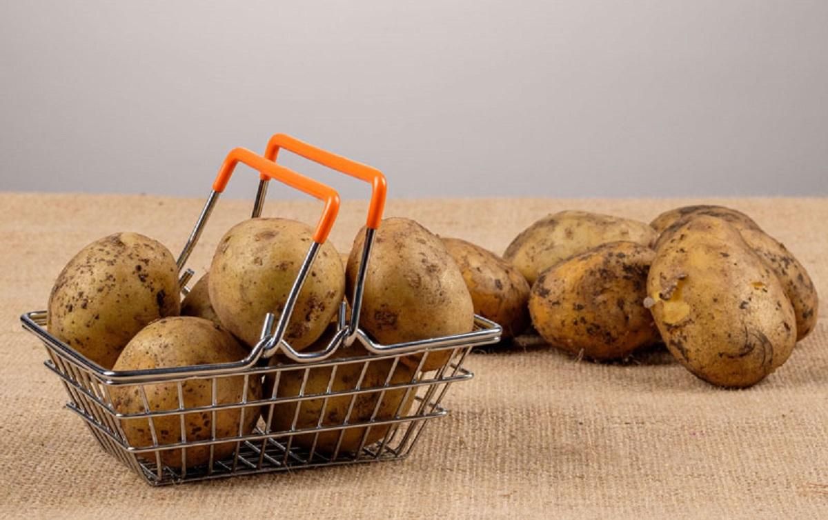 Молодой картофель Молодой картофель