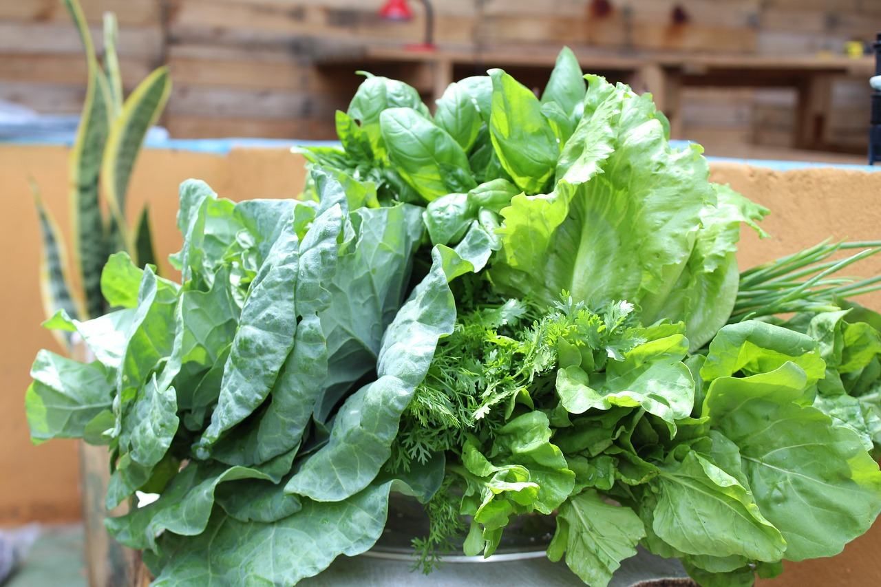 Органічні продукти Органічні продукти