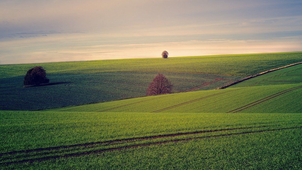 Земля в Украине