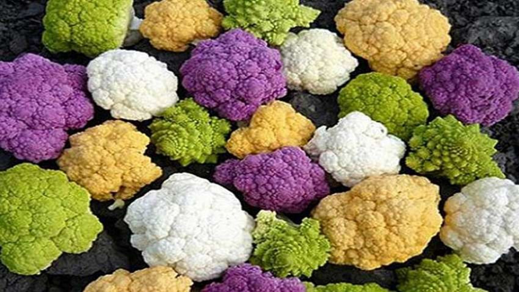 Цветная капуста: в Укране начали выращивать уникальный овощ Цветная капуста: в Укране начали выращивать уникальный овощ