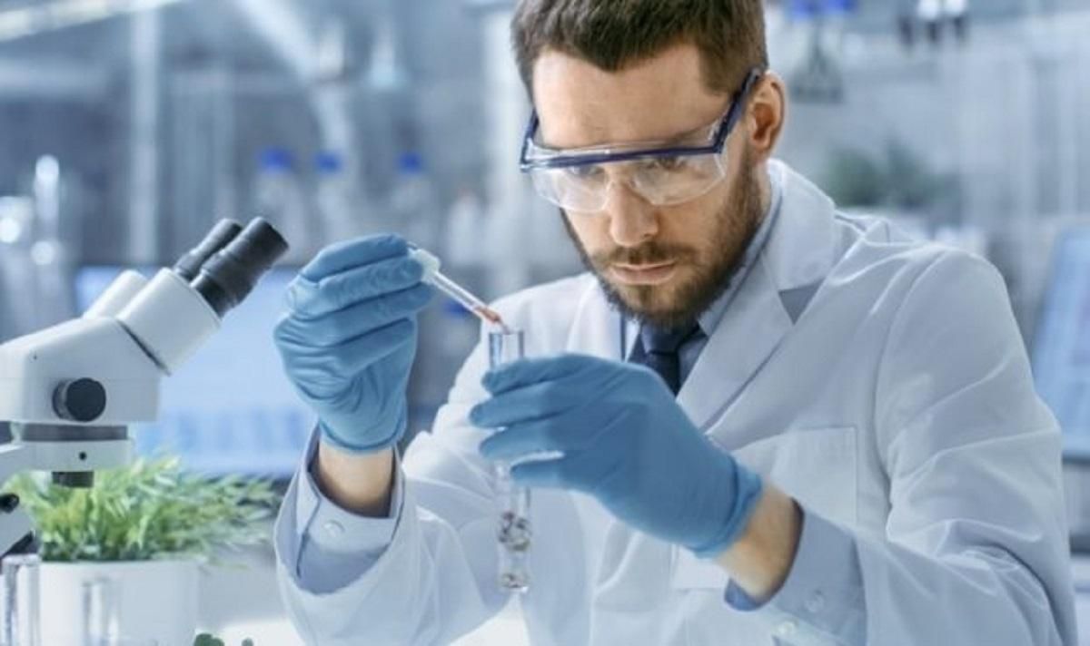 Ученые пытаются улучшить характеристики растений Ученые пытаются улучшить характеристики растений