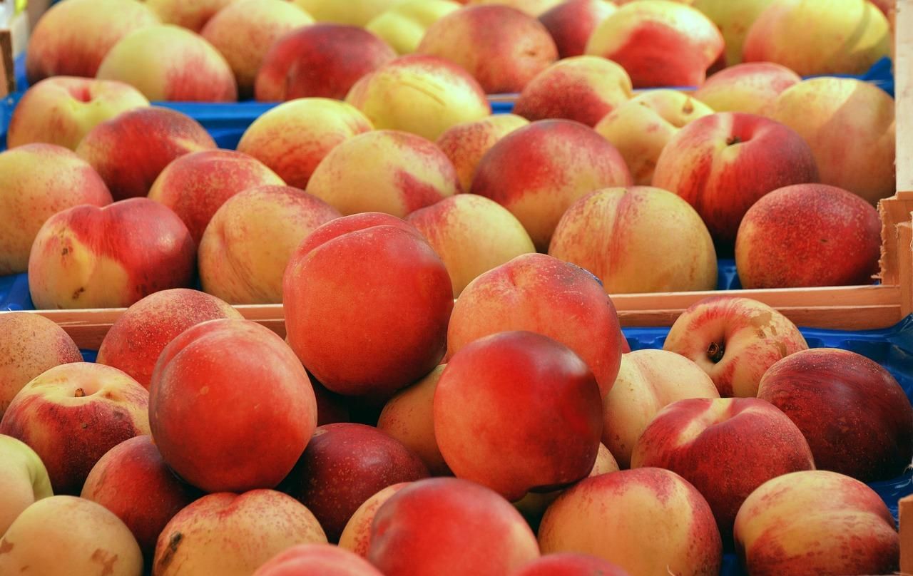 Розпочався сезон персиків: скільки просять за фрукт в Україні - Агро