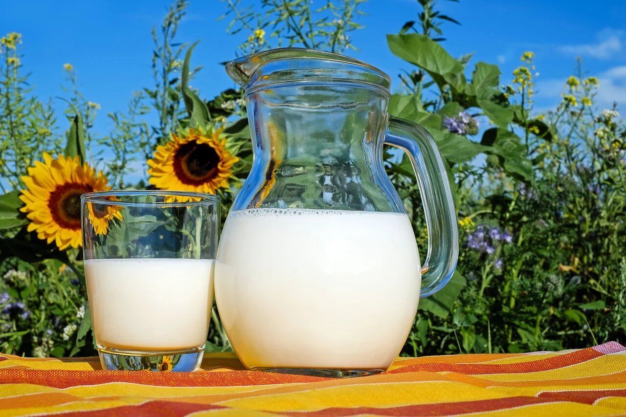 Дефіцит молока в Україні планують перекрити промисловими господарствами - 28 июля 2021 - Агро