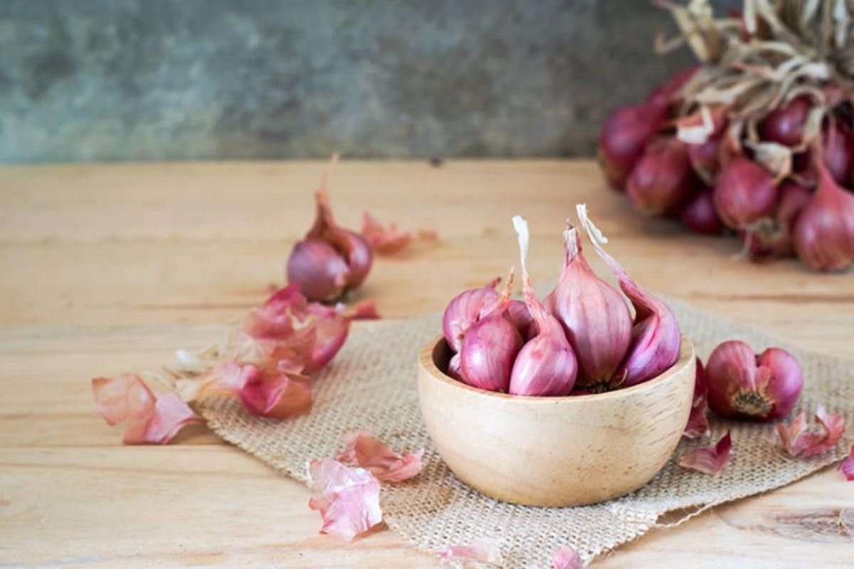 Інноваційна цибуля шалот: яку перевагу отримав оновлений овощ - Агро Інноваційна цибуля шалот: яку перевагу отримав оновлений овощ - Агро