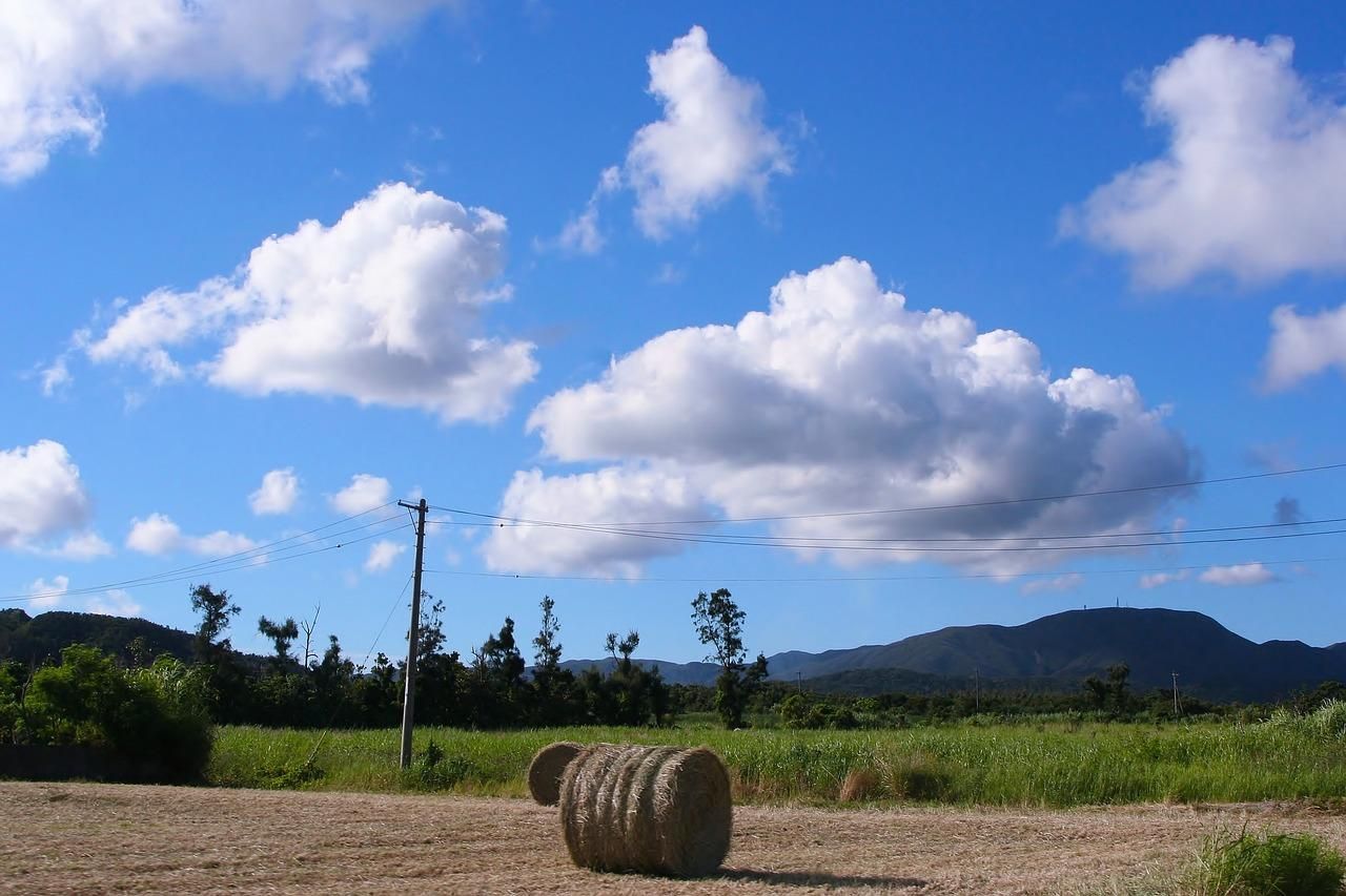 Земля в Украине Земля в Украине