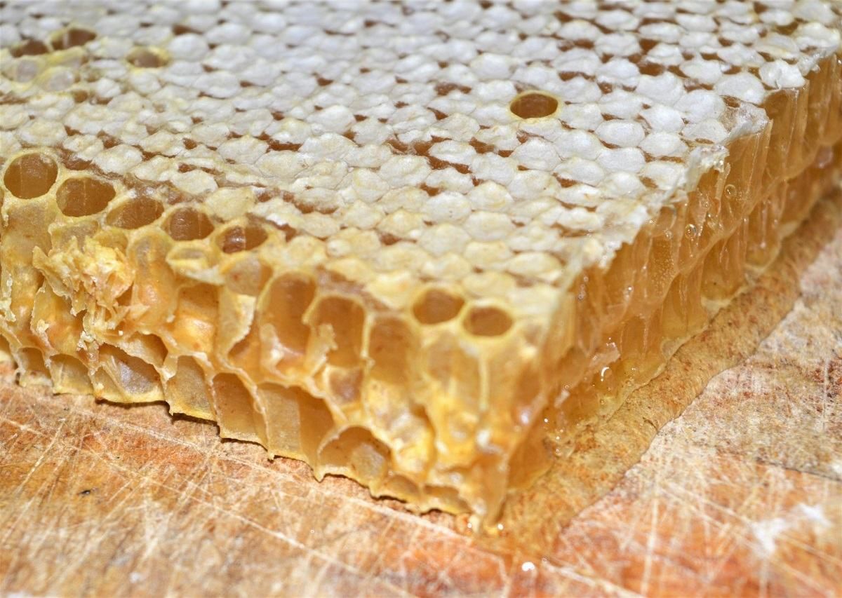 Мед будет дорожать Мед будет дорожать