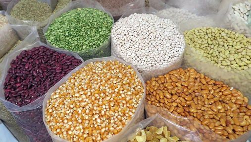 Поживне зерно: 10 причин вирощувати і вживати зернобобові