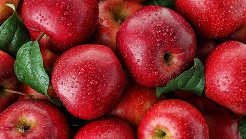 Надлишок яблук: високий урожай вплине на ціну та експорт