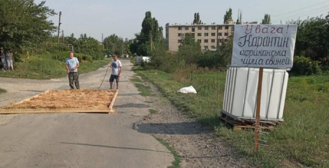 Cпалах африканської чуми свиней зафіксували на Запоріжжі - Новости Запорожья - Агро Cпалах африканської чуми свиней зафіксували на Запоріжжі - Новости Запорожья - Агро