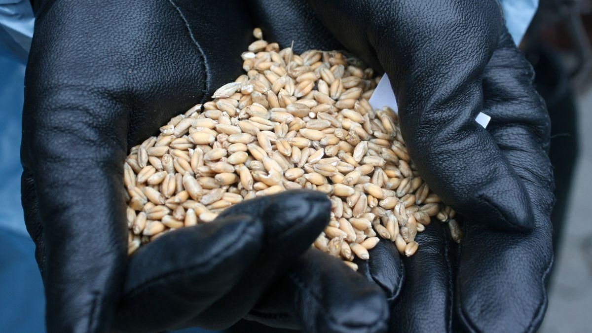 В Госрезерве предупредили о критически низких запасах зерна