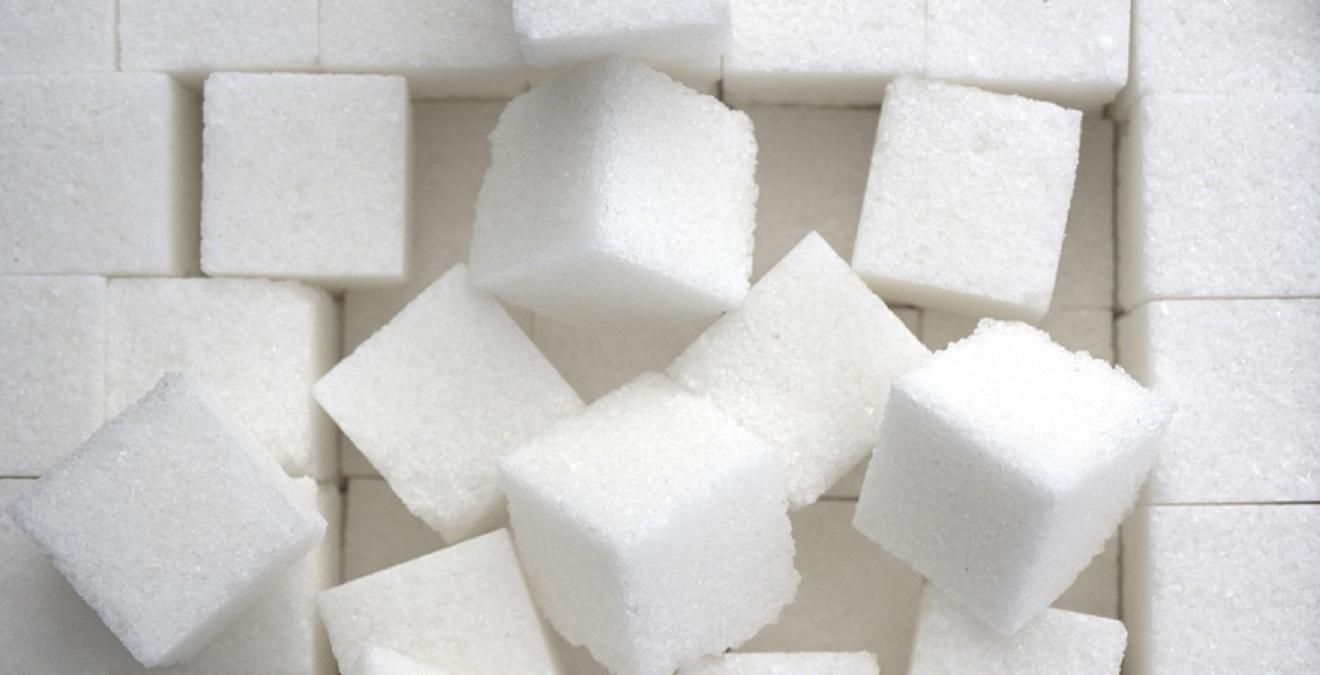 Самый экологичный в Европе сахар будут производить на дровах - Агро Самый экологичный в Европе сахар будут производить на дровах - Агро