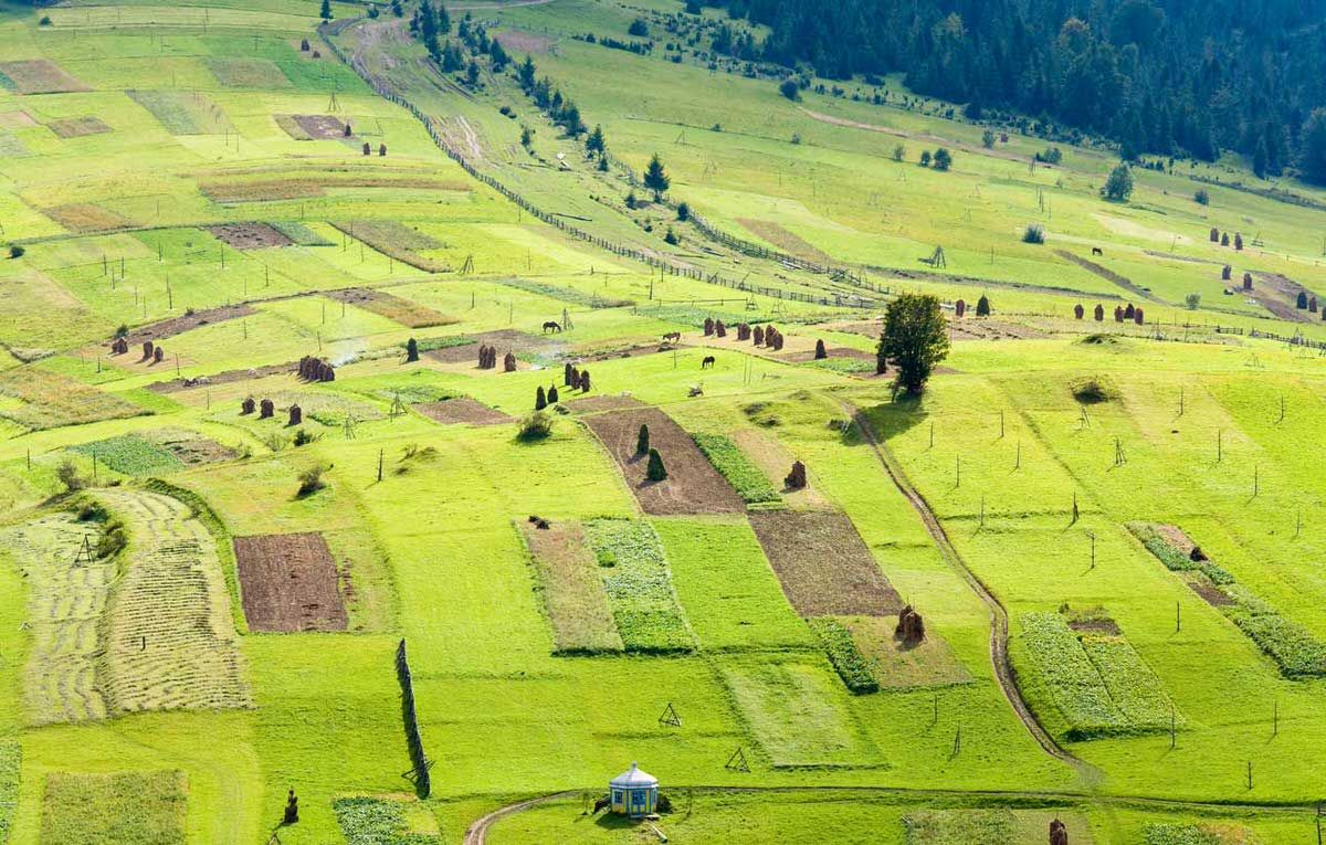 Ринок землі: коли очікувати подорожчання земельних паїв - Агро Ринок землі: коли очікувати подорожчання земельних паїв - Агро