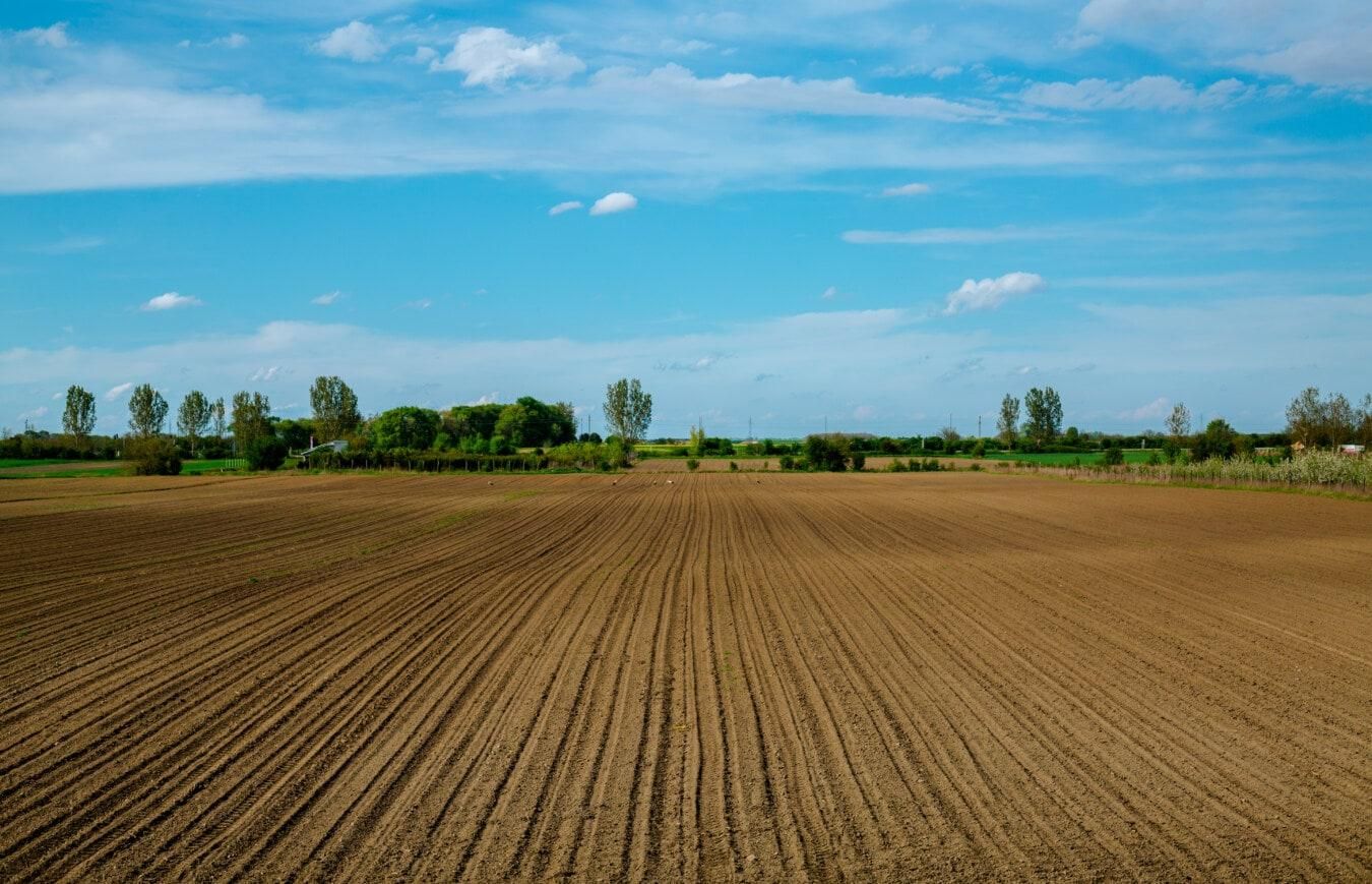 Українські аграрії стали більше витрачати на виробництво сільгоспродукції - Агро