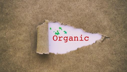 Украина экспортирует органические продукты в свыше 40 стран: что продаем