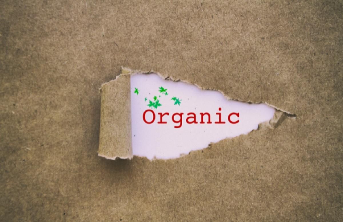 Украина экспортирует органические продукты в 40 стран: что продаем