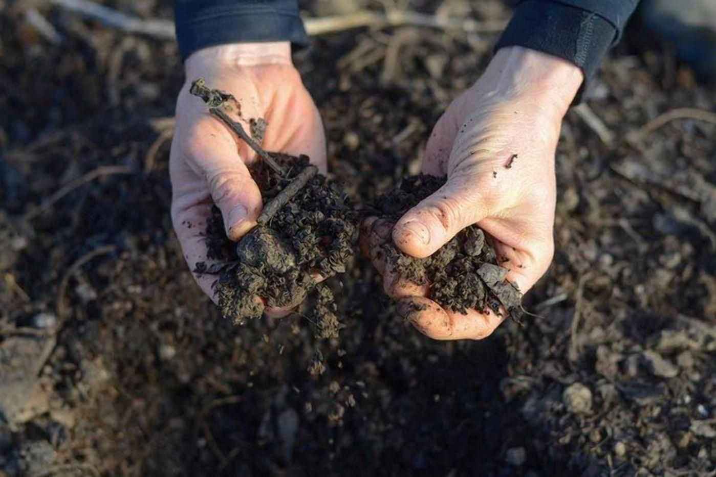 Самозахоплення землі: штраф може вирости у 100 разів - 6 октября 2021 - Агро Самозахоплення землі: штраф може вирости у 100 разів - 6 октября 2021 - Агро