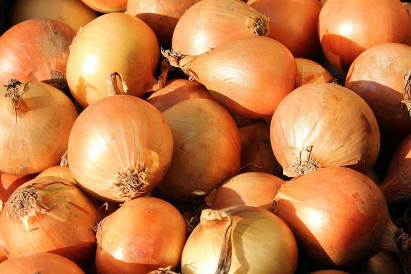 Сховища цибулі: проблеми та які будуть наслідки для покупців - 6 октября 2021 - Агро Сховища цибулі: проблеми та які будуть наслідки для покупців - 6 октября 2021 - Агро