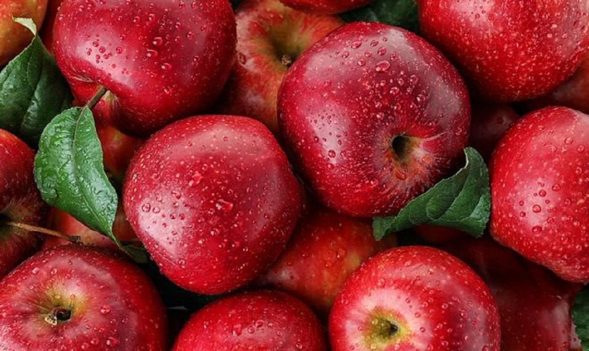 Найнижча ціна за 3 роки: яблука стрімко дешевшають - Агро