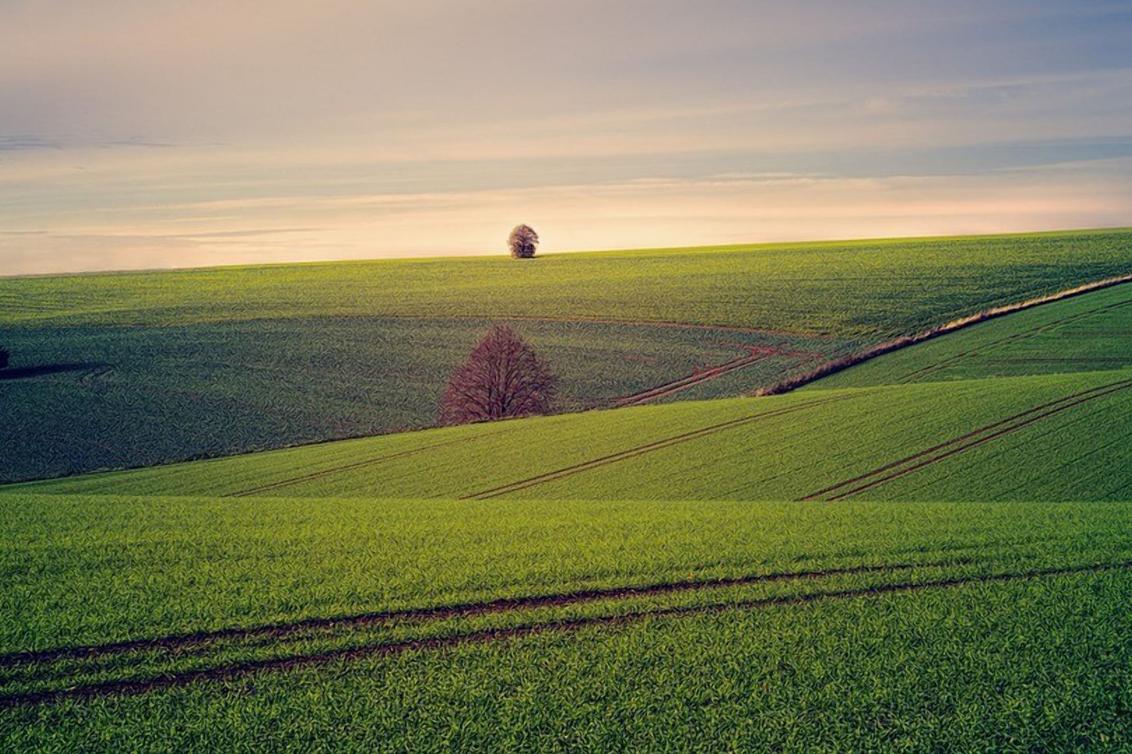 Ціна гектара землі в Україна: який зараз показник - 17 октября 2021 - Агро Ціна гектара землі в Україна: який зараз показник - 17 октября 2021 - Агро