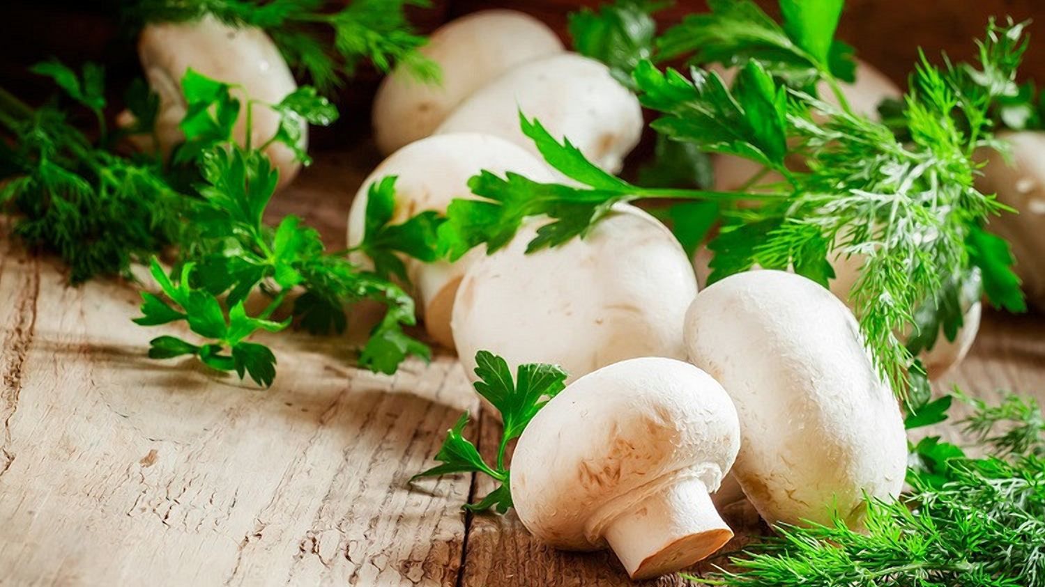 40 ферм за 4 роки: в Україні масово закриваються грибні виробництва - Агро 40 ферм за 4 роки: в Україні масово закриваються грибні виробництва - Агро