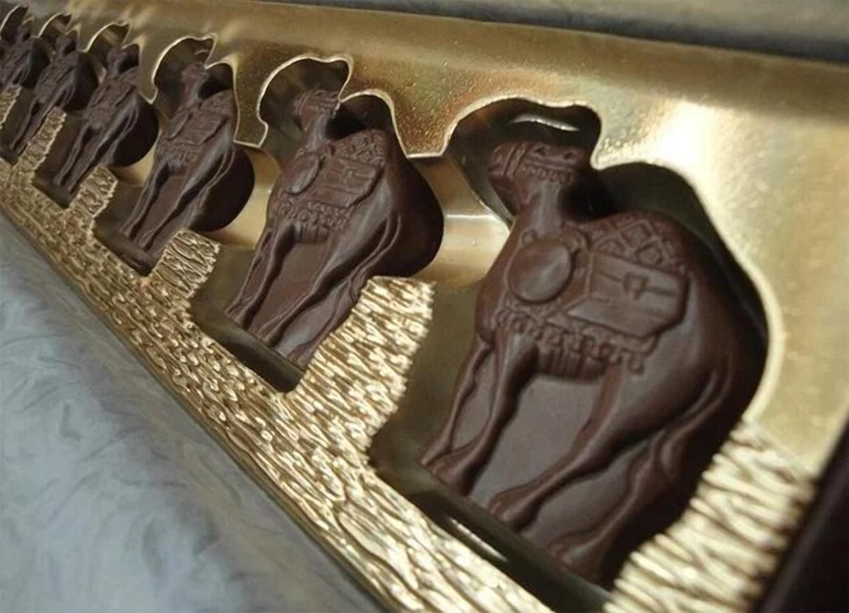 Шоколад из верблюжьего молока: в Польше создали невероятное лакомство - Агро