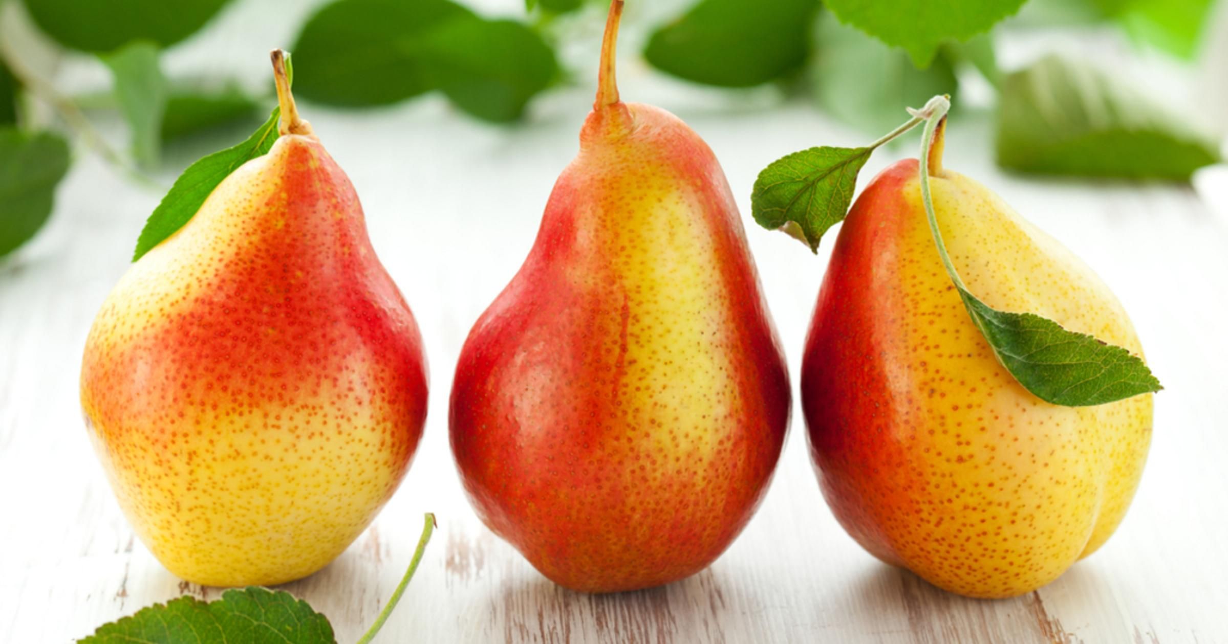 Солодкі плоди та високий урожай: вивели новий унікальний сорт груші - Агро