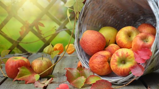 Чому варто додати яблука до свого раціону: 5 корисних властивостей