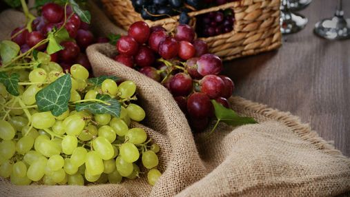 Виноград не вродив: фермери на Одещині зібрали в рази менший урожай, ніж очікували