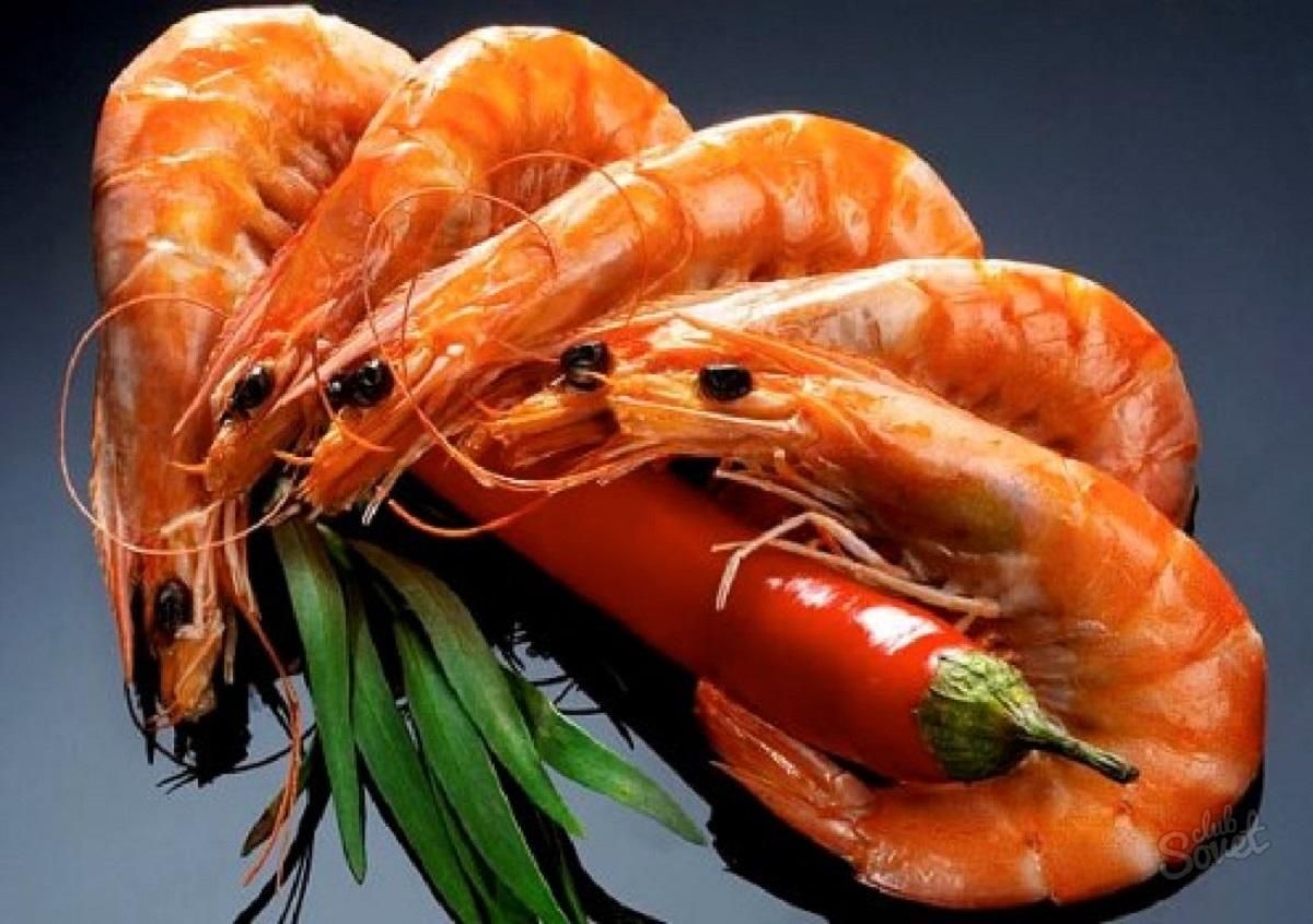 Королевская криветка Королевская криветка