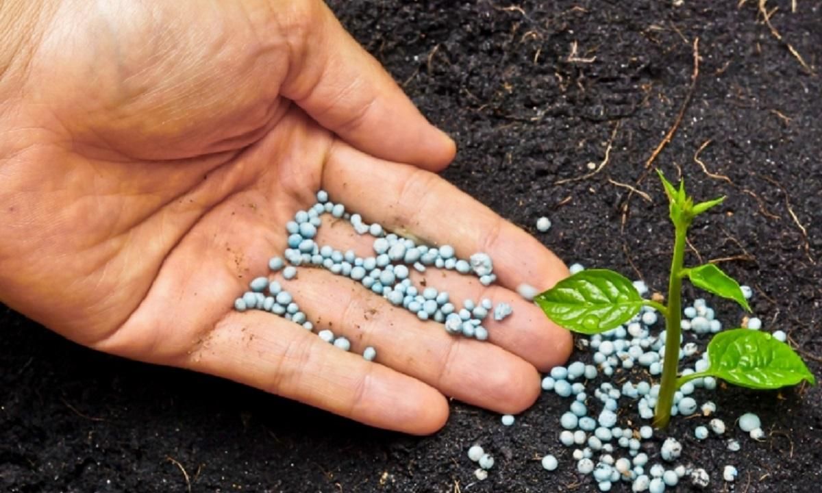 Розплата за газовий шантаж: Росія запроваджує квоти на добрива - Агро Розплата за газовий шантаж: Росія запроваджує квоти на добрива - Агро