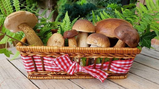 Катастрофа для грибників: в Україні можуть заборонити продавати гриби "з рук"