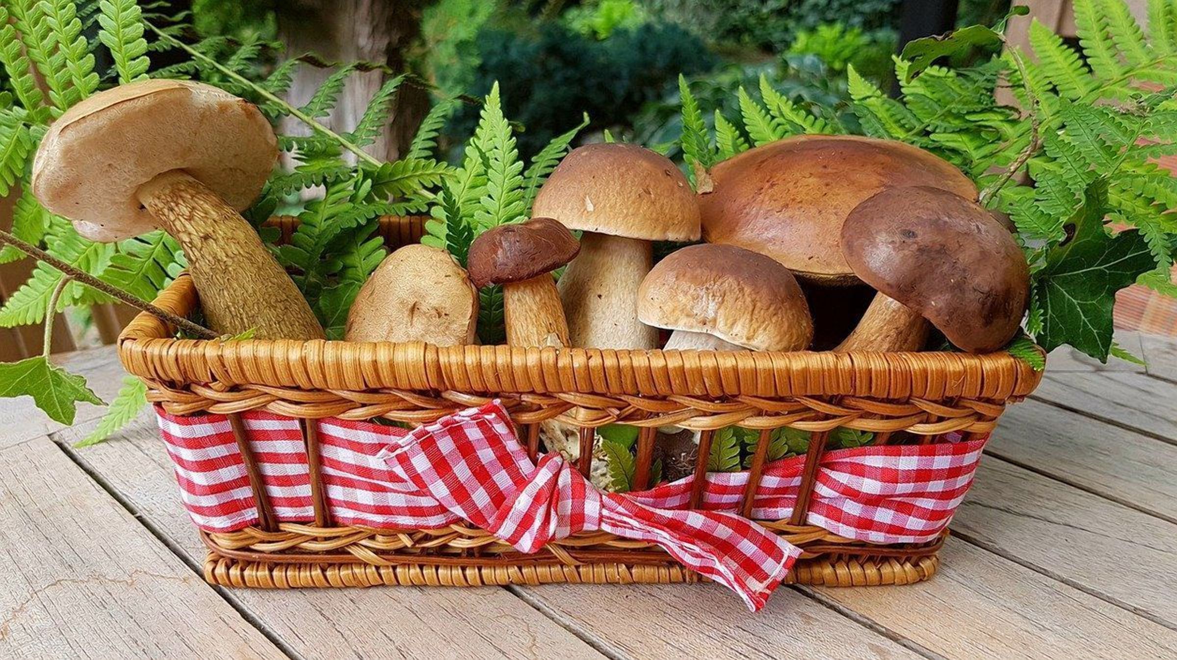 Катастрофа для грибників: в Україні можуть заборонити продавати гриби "з рук" - Агро