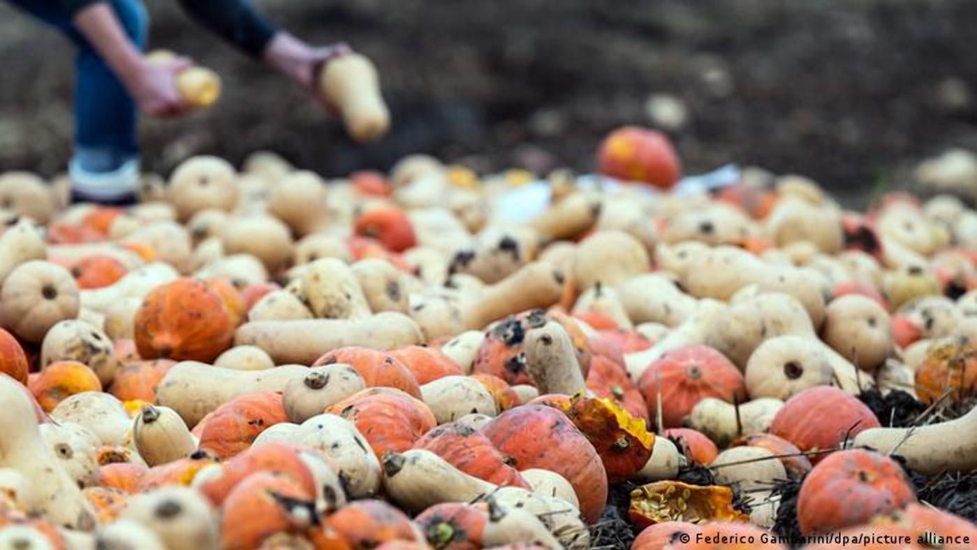 "Некрасивые" овощи – даром: немецкий фермер удивил раздачей продукции - Агро
