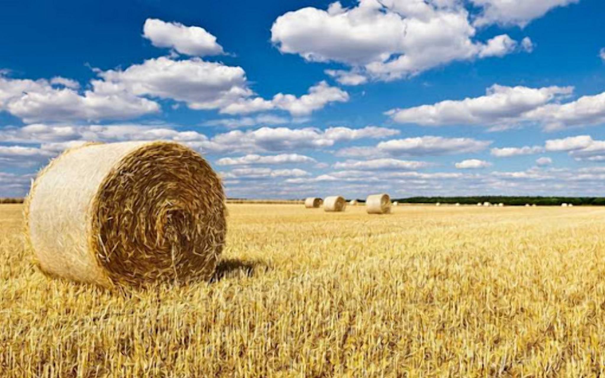 Біопаливо з соломи: український фермер заснував успішний бізнес - Агро