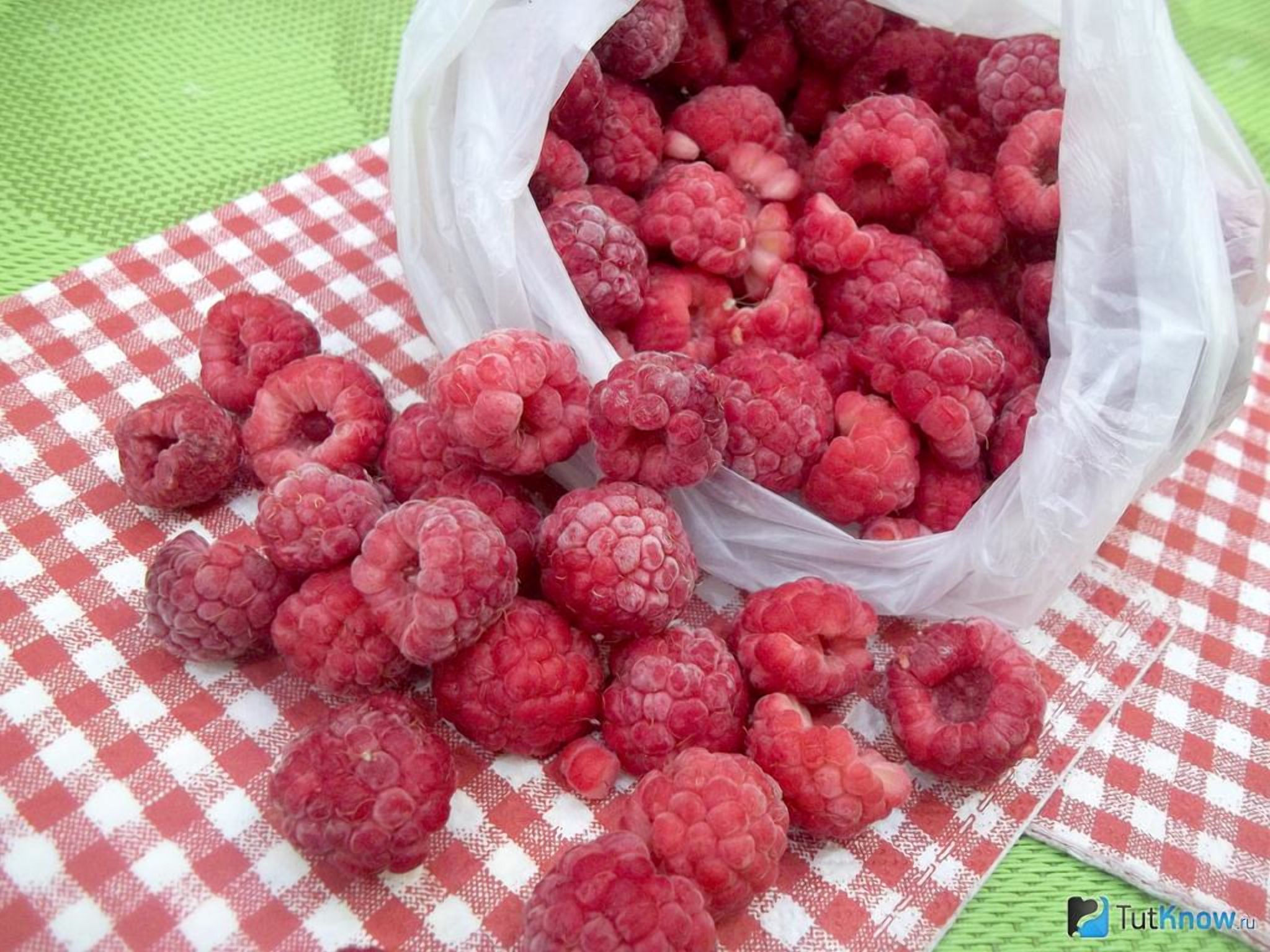 Українська малина "розриває" глобальний ринок - Агро Українська малина "розриває" глобальний ринок - Агро