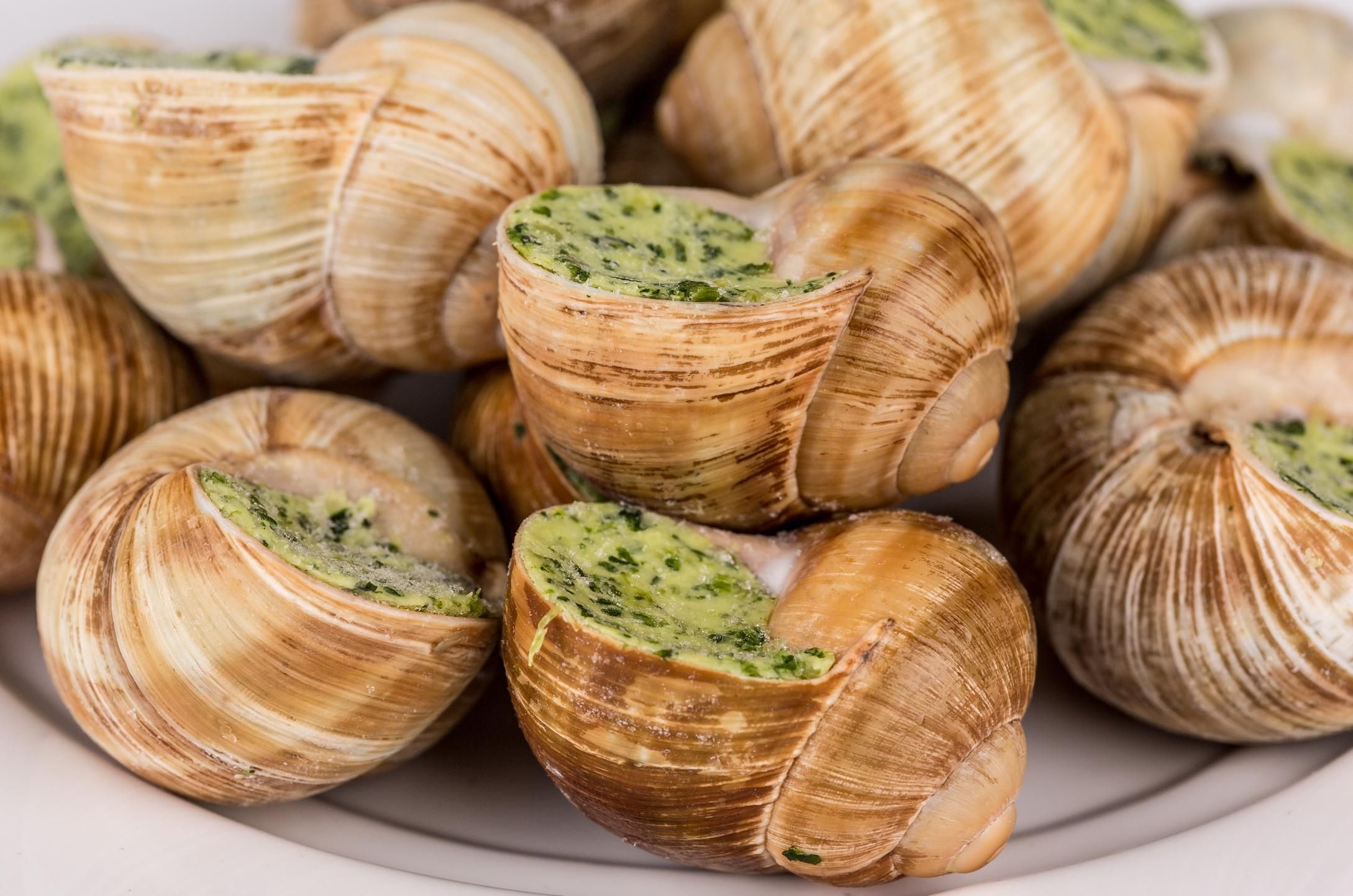 Українські равлики підкорили світ: виробник не встигає відвантажувати продукцію - Агро Українські равлики підкорили світ: виробник не встигає відвантажувати продукцію - Агро