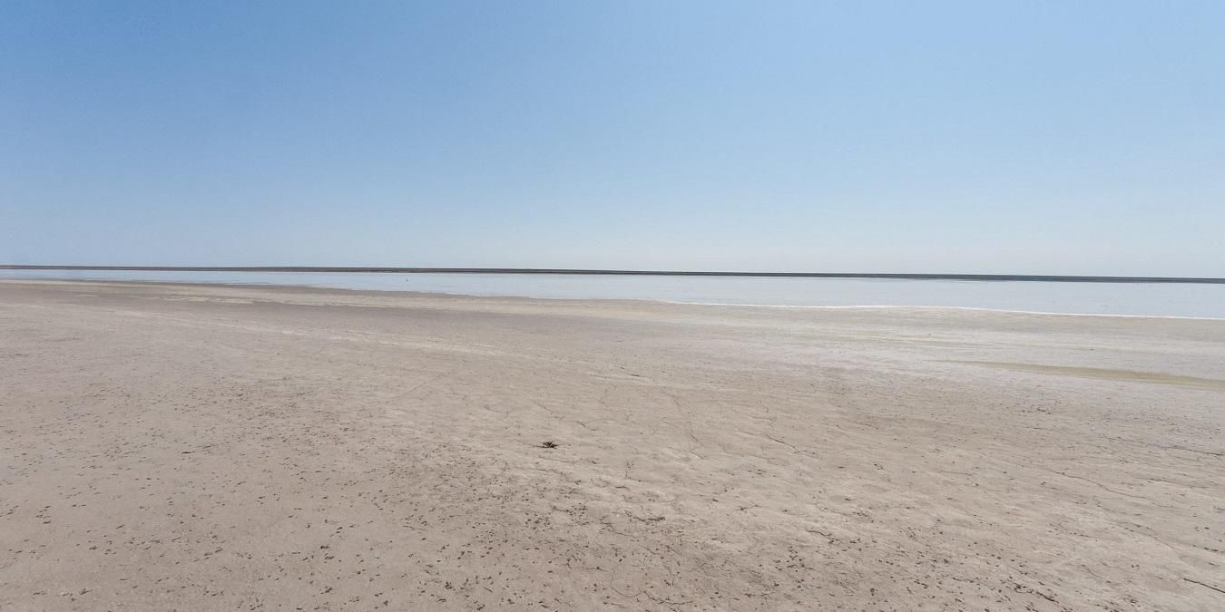 5000 гектаров степи сохранены, или Как правильно залеснивать Украину - Украина новости - Агро 5000 гектаров степи сохранены, или Как правильно залеснивать Украину - Украина новости - Агро