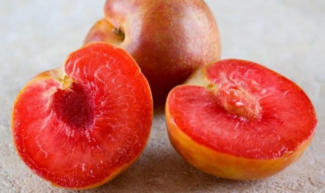 Гібрид сливи та абрикосу: селекціонери вивели новий особливий фрукт - Агро