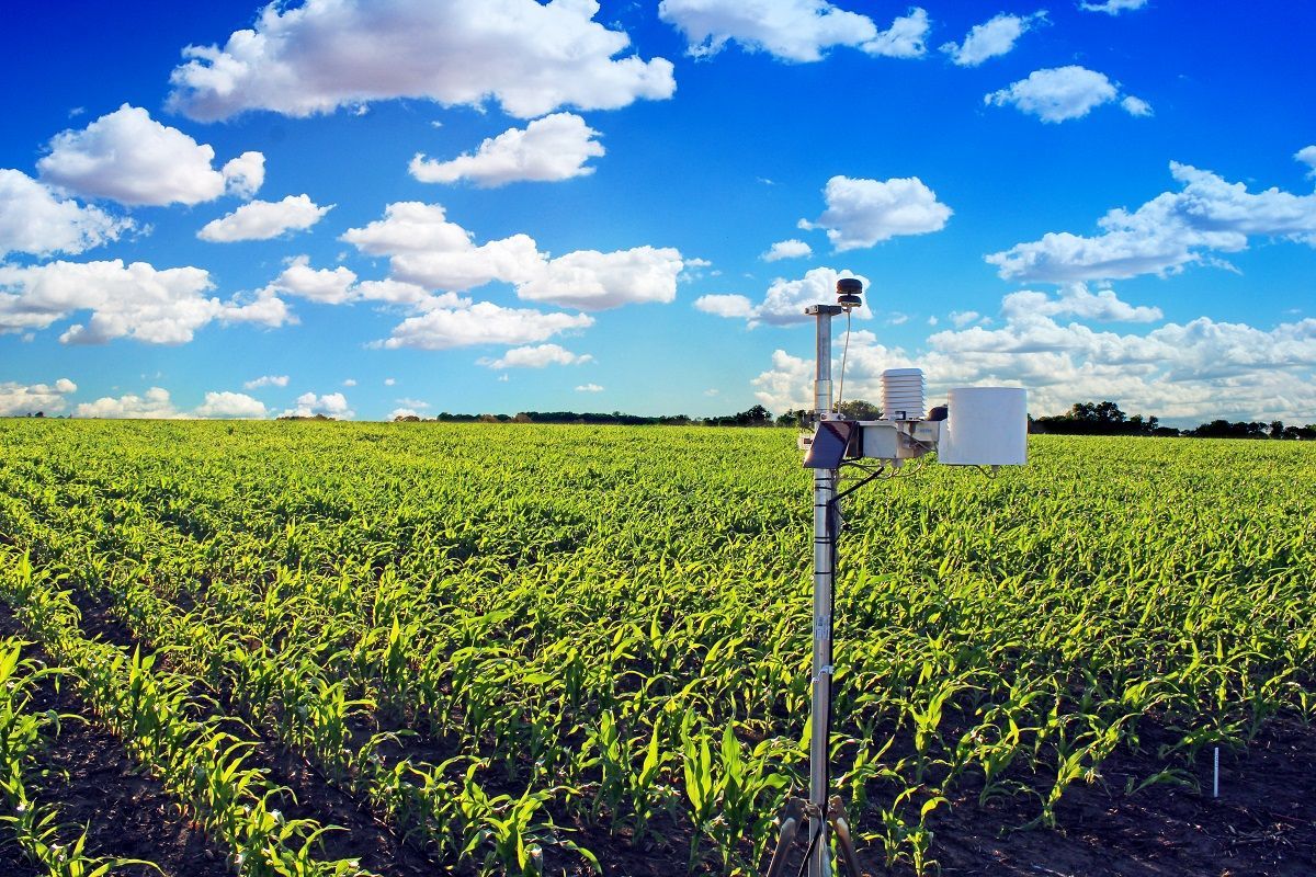 xarvio® FIELD MANAGER розширює співпрацю з метеостанціями: аграрії матимуть дані METOS і Sencrop - Україна новини - Агро