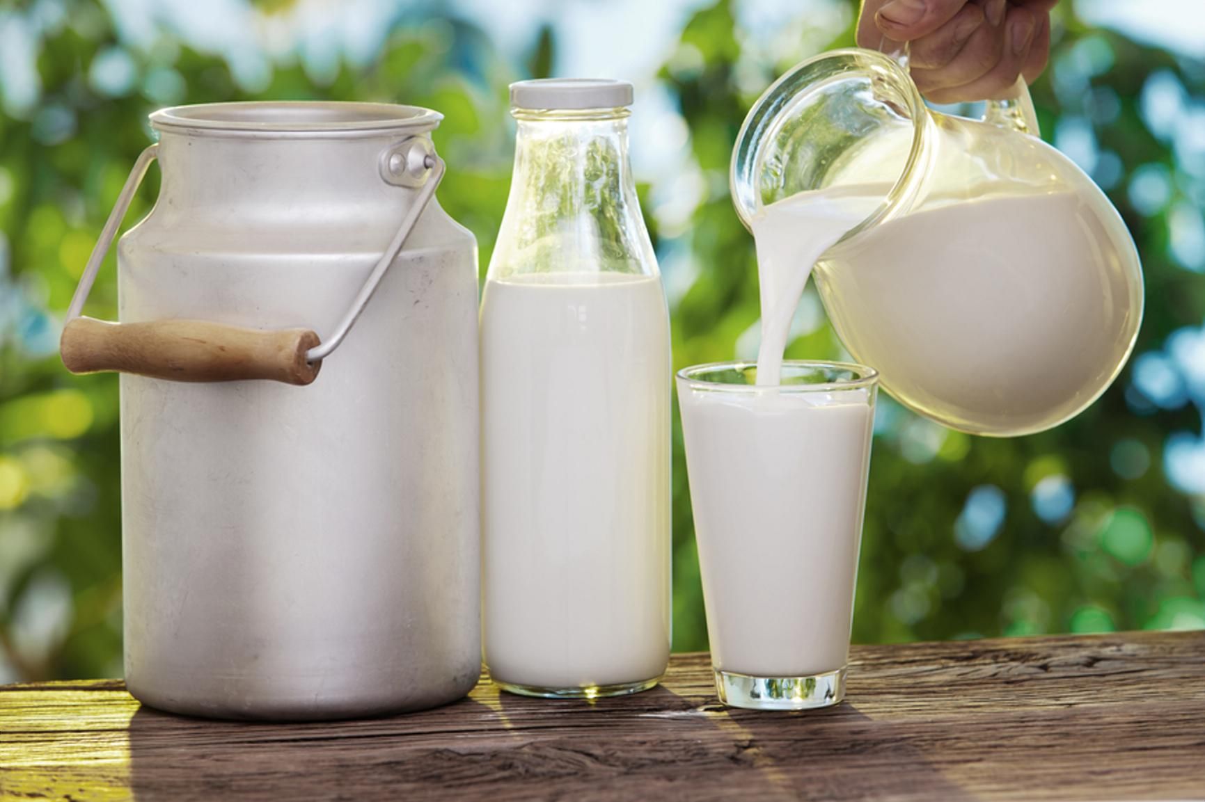 В Украине уменьшается надой молока: чем это чревато - Агро