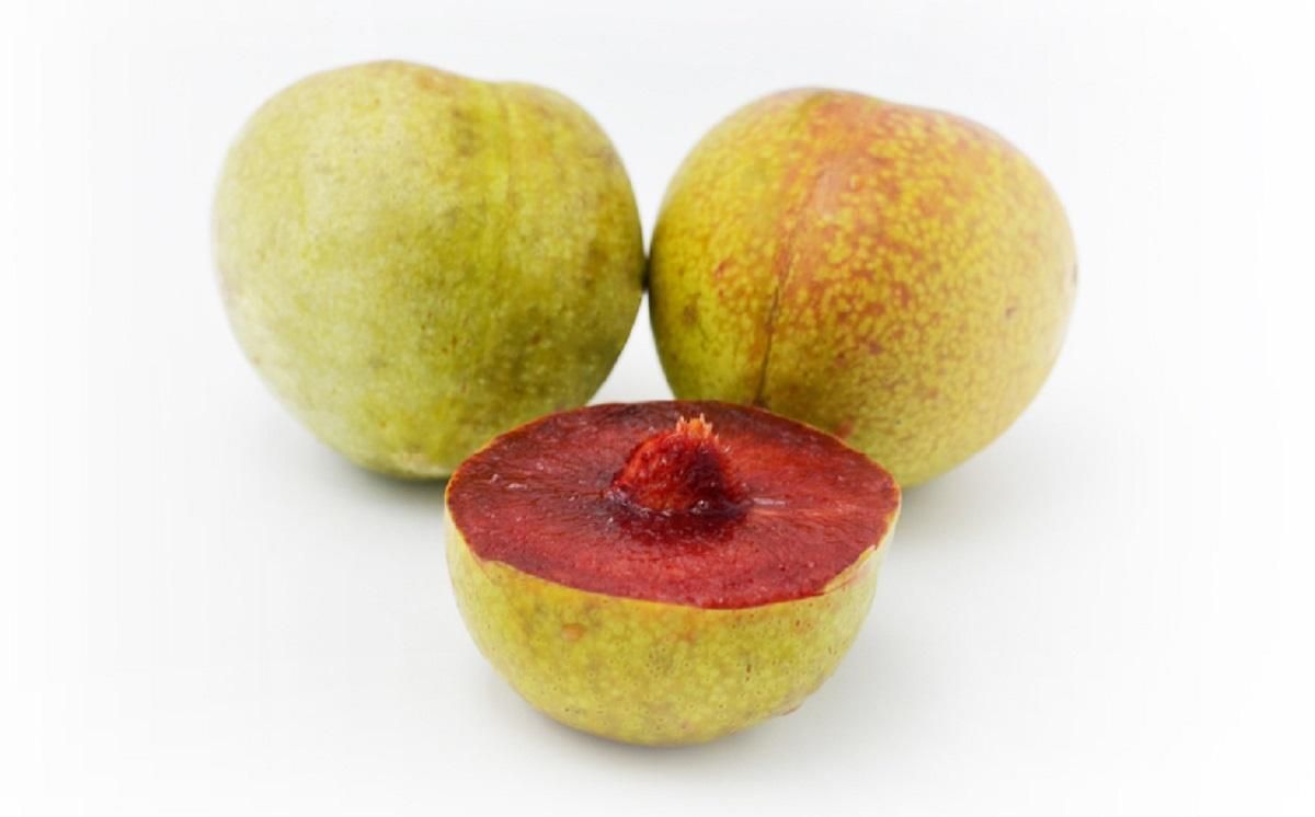 Врожай увесь сезон: селекціонери створили унікальний гібрид сливи та абрикосу - Новости мира - Агро Врожай увесь сезон: селекціонери створили унікальний гібрид сливи та абрикосу - Новости мира - Агро