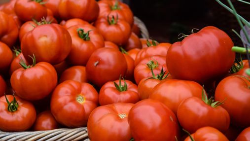В Іспанії створили екопластик зі шкірки помідорів