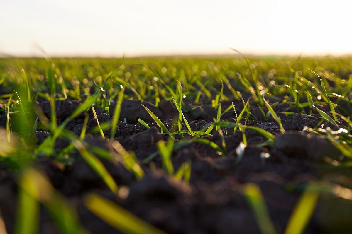 BASF Agricultural Solutions виступив спонсором Online Seed Forum-2021 - Україна новини - Агро BASF Agricultural Solutions виступив спонсором Online Seed Forum-2021 - Україна новини - Агро