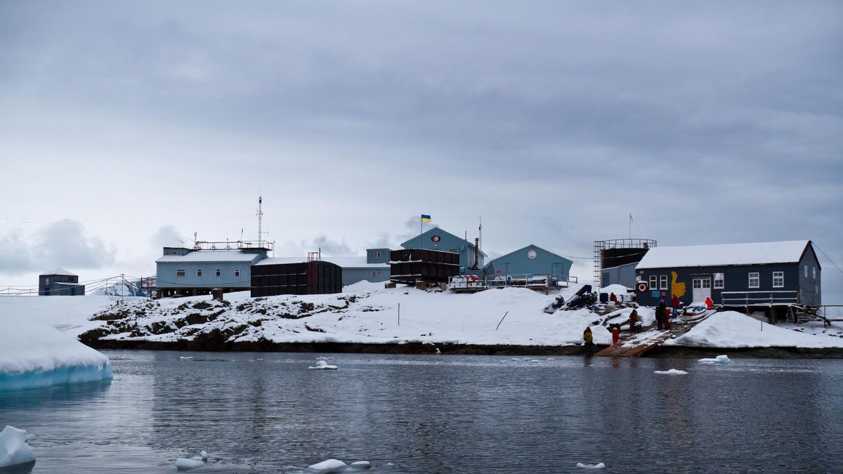 В Антарктиді відкриють українську пивоварню - Агро