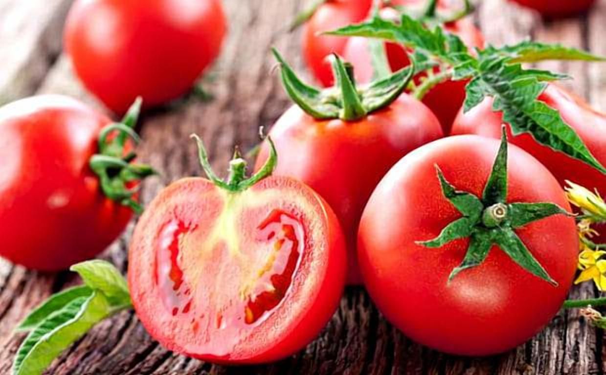 Помідори – найдешевші за останні роки: в чім справа та як довго це триватиме - Агро Помідори – найдешевші за останні роки: в чім справа та як довго це триватиме - Агро
